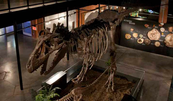 Houston Museum of Natural Science at Sugar Land